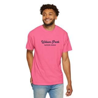 Wilson Park Fayetteville Vintage Script T-Shirt
